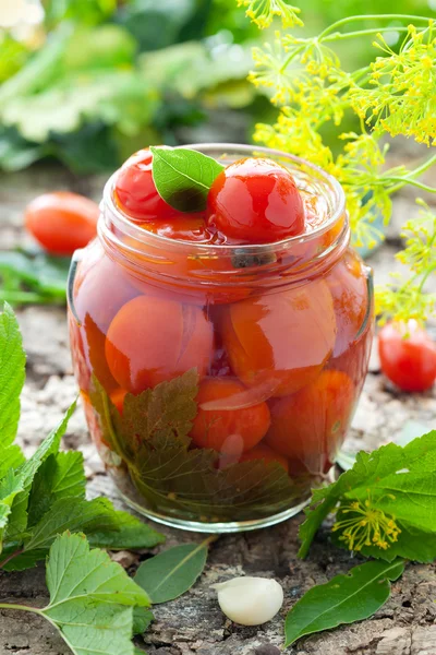 Conservas de tomates caseiros — Fotografia de Stock