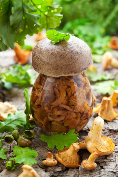 Cogumelos em conserva — Fotografia de Stock