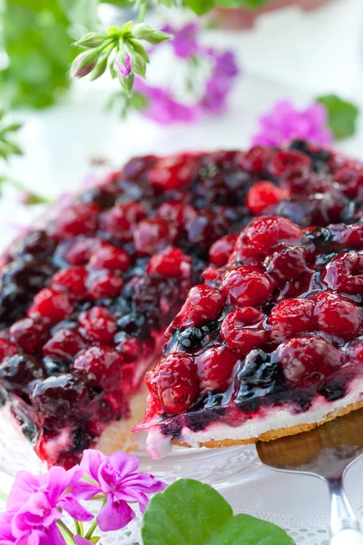 Berry tart — Zdjęcie stockowe