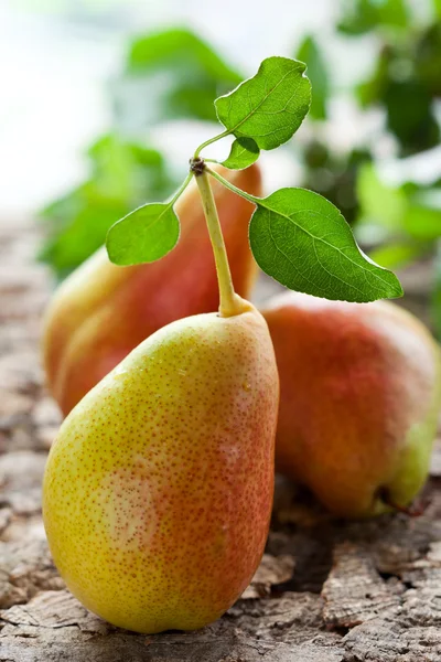 Peras frescas —  Fotos de Stock