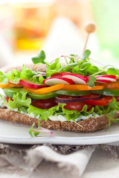 Овощной сэндвич — стоковое фото