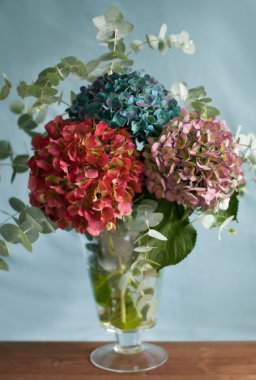 Bouquet of hydrangeas clipart