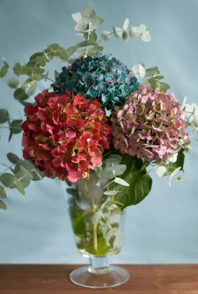 Bouquet d'hortensias — Photo