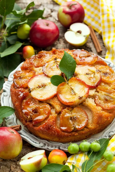Apple cake — Stock Photo, Image