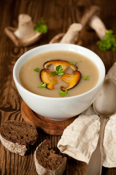 キノコのスープ — ストック写真