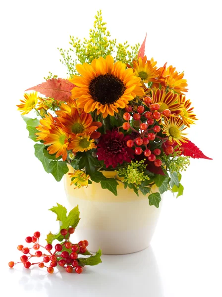 Autumnal flowers — Stock Photo, Image