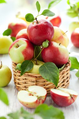 Fresh apples clipart