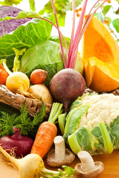 Høstgrønnsaker – stockfoto