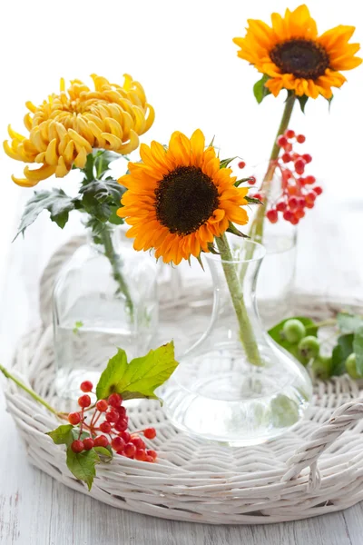 Zonnebloemen en chrysant — Stockfoto