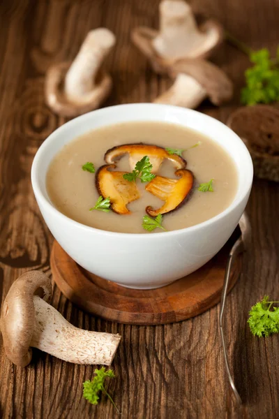 Supă de ciuperci — Fotografie, imagine de stoc