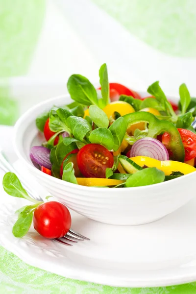 Čerstvý salát se zeleninou — Stock fotografie