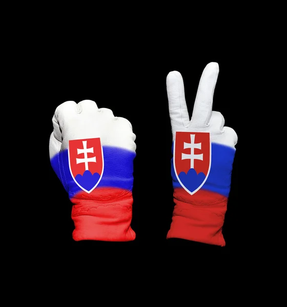 Slovakia flag — Stock Photo, Image