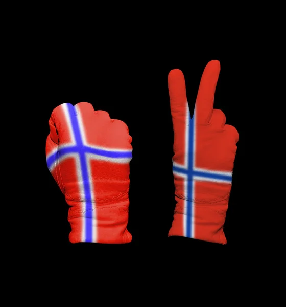 Norwegen-Flagge — Stockfoto
