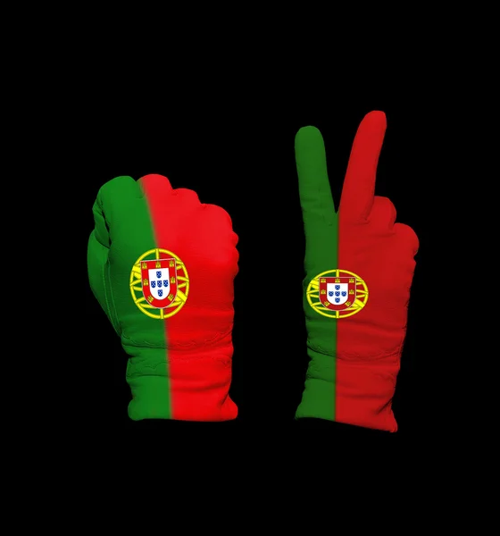 Portugiesische Flagge — Stockfoto