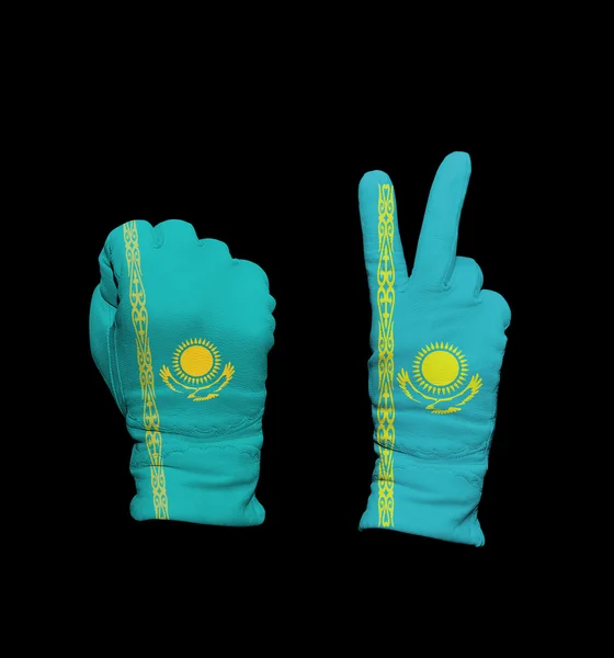 Kazakhstan flag — Stock Photo, Image