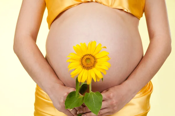 Těhotná žena s květ slunečnice — Stock fotografie