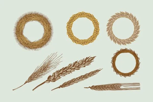 Couronnes de récolte — Image vectorielle