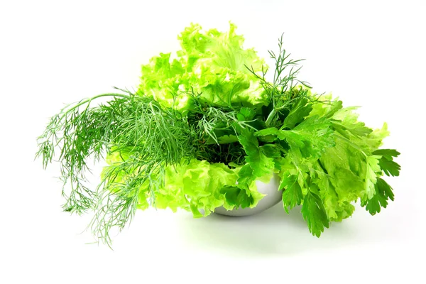 Friss saláta, petrezselyem, kapor, fehér háttér — Stock Fotó