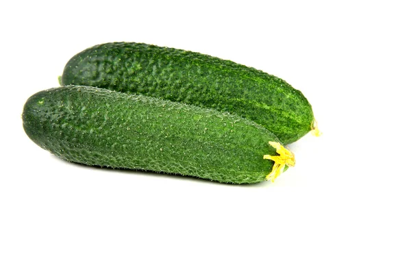 Versheid twee komkommers op witte achtergrond — Stockfoto