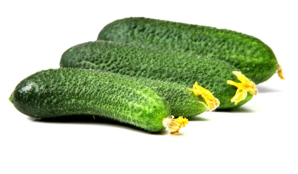 Net geplukt komkommers geïsoleerd op witte achtergrond — Stockfoto