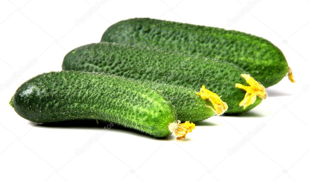 Just picked cucumbers isolated on white background