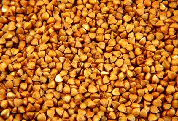 Fondo di grano saraceno — Foto Stock