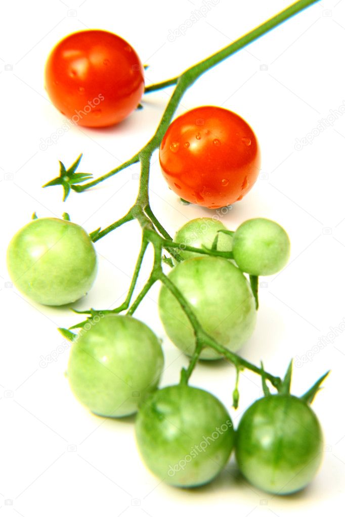 Cherry tomatoes red and green