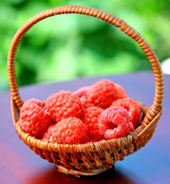 Framboise aux fruits frais bio sur fond de jardin — Photo