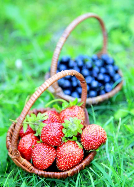 Two wicker baskets full of strawberries and blueberries — Stock Photo, Image