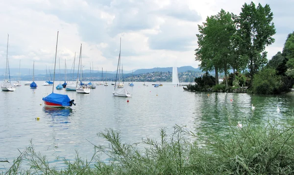 Båtar förtöjda på sjön Zürich Schweiz — Stockfoto