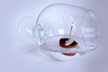 su ile ceviz fougeres gemisiyle