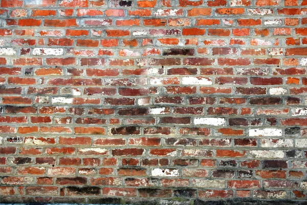 Alte Ziegelmauer. — Stockfoto