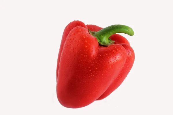 Red pepper in the drops of water — Stock Photo, Image