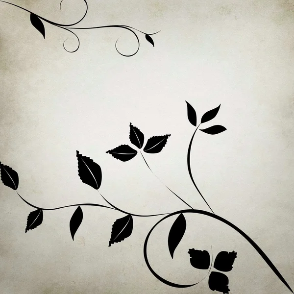 Oksa lehdet harmaalla pohjalla — kuvapankkivalokuva