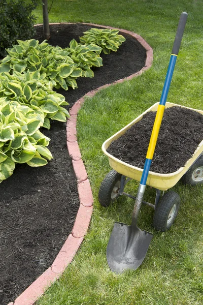 Mulch Bed With Edging — Stock Photo, Image