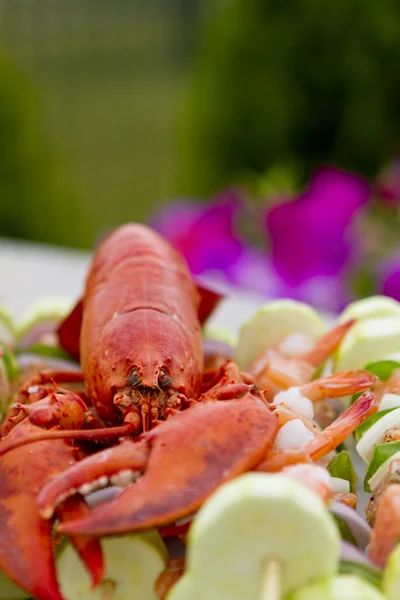 Brochettes de homard et crevettes — Photo