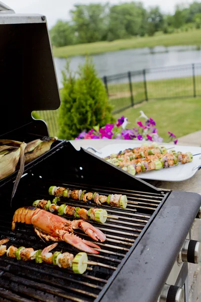 Mediterranean FishSkewers and Lobster — Stock Photo, Image