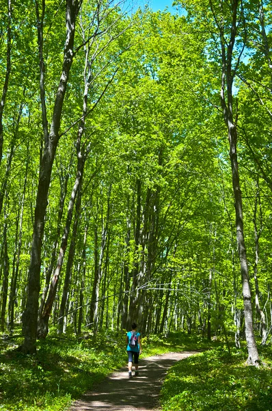 stock image Hiking Girl