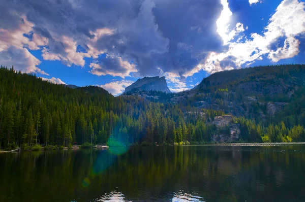 Orso Lago Colorado — Foto Stock