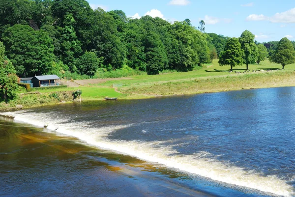 River Tweed weir, meadow and fishing hut near Coldstream — Stock Photo, Image