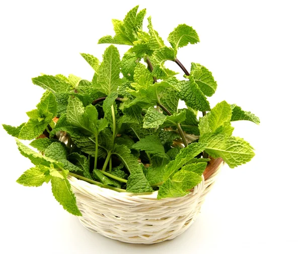 Mint leaves in a basket — Stock Photo, Image