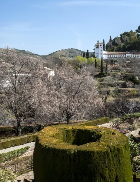 Garden of Granada — Stock Photo, Image