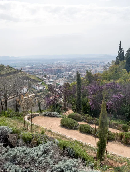 Granada kert — Stock Fotó