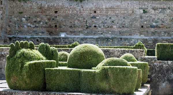 Detalhes do jardim de Alhambra — Fotografia de Stock
