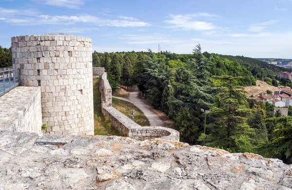 Tower and walls of the castle — Stock Photo, Image