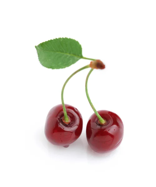 Fresh cherry on a white background — Stock Photo, Image