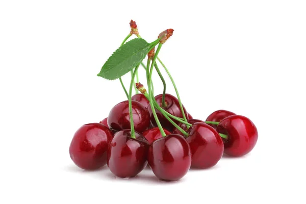 Fresh cherry on a white background — Stock Photo, Image