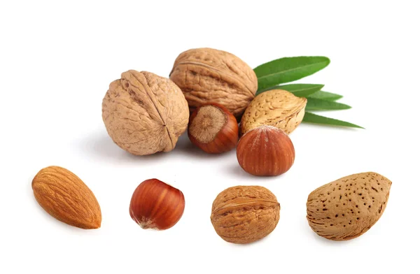 Collage of nuts jn a white background — Stock Photo, Image