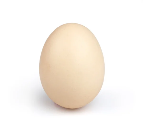 Egg in the shell — Stock Photo, Image