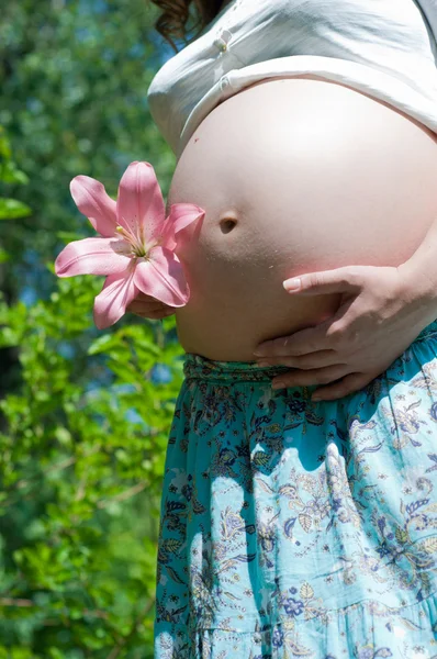 stock image Stomach of the pregnant woman close up